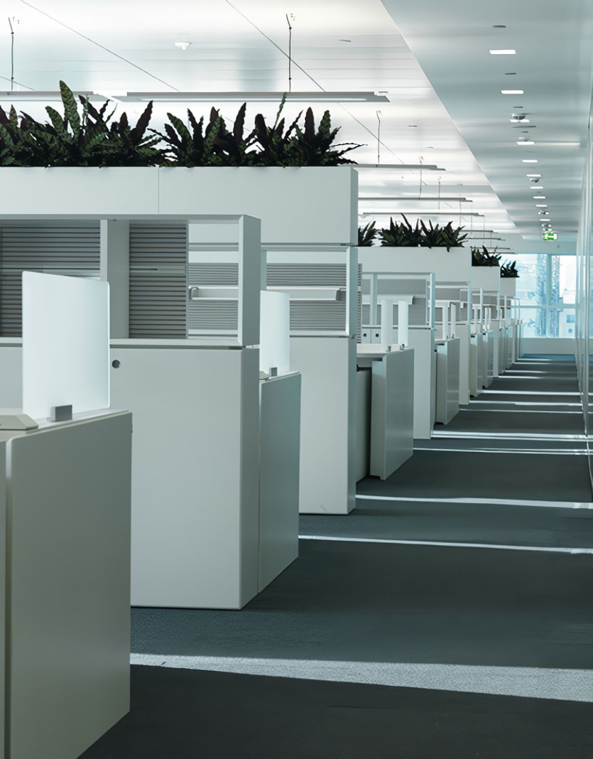 contract / V- projects (content)